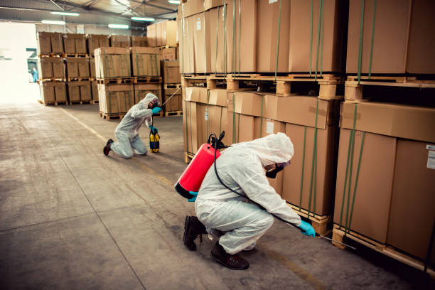 Best Ant Control Services  in Weston, NJ