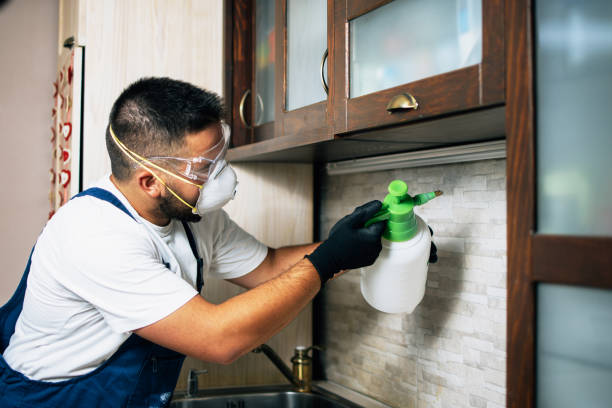 Best Insect Control  in Weston, NJ