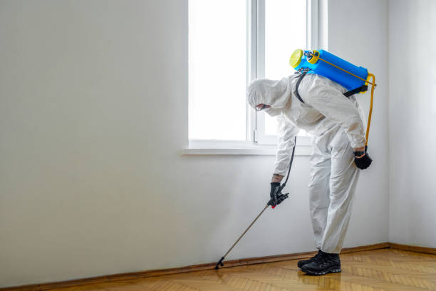 Best Pest Control Near Me  in Weston, NJ