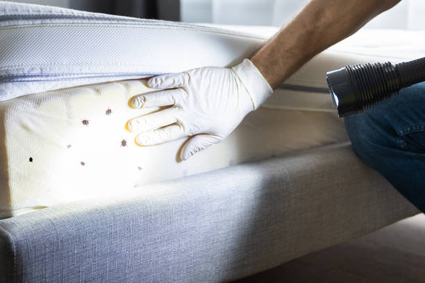 Best Mosquito Control Services  in Weston, NJ