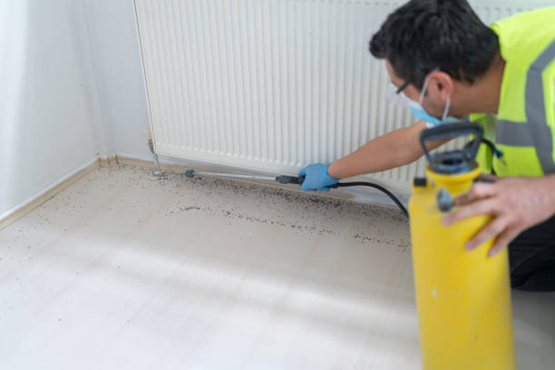 Best Cockroach Control Services  in Weston, NJ