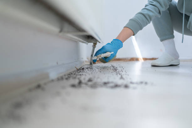 Best Affordable Pest Control Services  in Weston, NJ